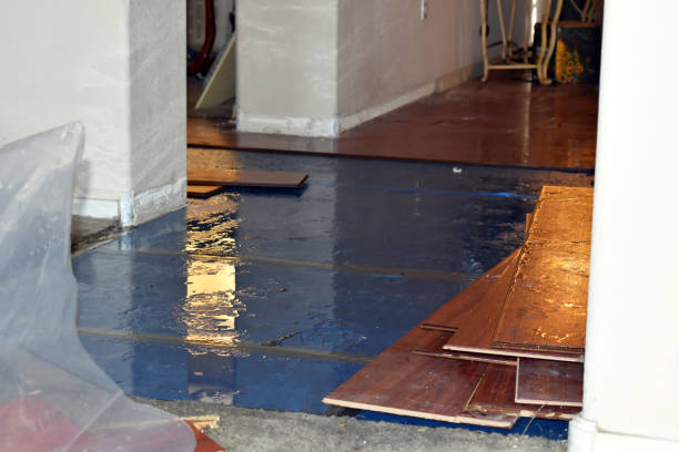 Professional Burst Pipe Cleanup technician working in Sophia, WV